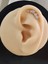 Çiçek Modern Model Kıkırdak Piercing Tragus Helix Silver Gümüş Renk Küpe 3