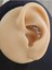 Çiçek Modern Model Kıkırdak Piercing Tragus Helix Silver Gümüş Renk Küpe 4
