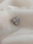 Arı Model Kıkırdak Piercing Tragus Helix Silver Gümüş Renk Küpe 2