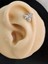 Arı Model Kıkırdak Piercing Tragus Helix Silver Gümüş Renk Küpe 3