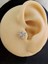 Arı Model Kıkırdak Piercing Tragus Helix Silver Gümüş Renk Küpe 4