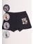 Ayı Resimli Renkli Erkek Çocuk Boxer 3