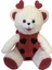 Uğur Böceği Peluş Ayı 60 cm 1