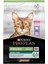 Sterilised Renal Plus Kısırlaştırılmış Yetişkin Hindili Kedi Maması 1,5 kg 1