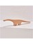 Ahşap Diplodocus Brachiosaurus Dinazor 1