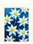 Matisse - Boho - Art Deco - Soyut - Doğa ( 3 Lü Çerçevesiz ) Poster - Afiş - Tablo KR2C00290/ 3