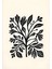 Matisse - Boho - Art Deco - Soyut - Doğa ( 3 Lü Çerçevesiz ) Poster - Afiş - Tablo KR2C00307/ 2