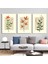 Matisse - Boho - Art Deco - Soyut - Doğa ( 3 Lü Çerçevesiz ) Poster - Afiş - Tablo KR2C00096/ 1