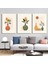 Matisse - Boho - Art Deco - Soyut - Doğa ( 3 Lü Çerçevesiz ) Poster - Afiş - Tablo KR2C00084/ 1