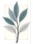 Matisse - Boho - Art Deco - Soyut - Doğa ( 3 Lü Çerçevesiz ) Poster - Afiş - Tablo KR2C00138/ 2