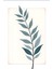 Matisse - Boho - Art Deco - Soyut - Doğa ( 3 Lü Çerçevesiz ) Poster - Afiş - Tablo KR2C00138/ 3