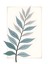 Matisse - Boho - Art Deco - Soyut - Doğa ( 3 Lü Çerçevesiz ) Poster - Afiş - Tablo KR2C00138/ 4