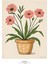 Matisse - Boho - Art Deco - Soyut - Doğa ( 3 Lü Çerçevesiz ) Poster - Afiş - Tablo KR2C00283/ 2