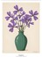 Matisse - Boho - Art Deco - Soyut - Doğa ( 3 Lü Çerçevesiz ) Poster - Afiş - Tablo KR2C00283/ 3