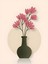 Matisse - Boho - Art Deco - Soyut - Doğa ( 3 Lü Çerçevesiz ) Poster - Afiş - Tablo KR2C00266/ 4
