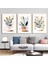 Matisse - Boho - Art Deco - Soyut - Doğa ( 3 Lü Çerçevesiz ) Poster - Afiş - Tablo KR2C00077/ 1
