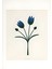 Matisse - Boho - Art Deco - Soyut - Doğa ( 3 Lü Çerçevesiz ) Poster - Afiş - Tablo KR2C00114/ 4