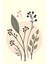 Matisse - Boho - Art Deco - Soyut - Doğa ( 3 Lü Çerçevesiz ) Poster - Afiş - Tablo KR2C00688/ 4