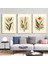 Matisse - Boho - Art Deco - Soyut - Doğa ( 3 Lü Çerçevesiz ) Poster - Afiş - Tablo KR2C00094/ 1