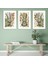 Matisse - Boho - Art Deco - Soyut - Doğa ( 3 Lü Çerçevesiz ) Poster - Afiş - Tablo KR2C00727/ 1