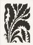 Matisse - Boho - Art Deco - Soyut - Doğa ( 3 Lü Çerçevesiz ) Poster - Afiş - Tablo KR2C00701/ 3
