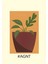 Matisse - Boho - Art Deco - Soyut - Doğa ( 3 Lü Çerçevesiz ) Poster - Afiş - Tablo KR2C00689/ 4