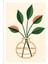 Matisse - Boho - Art Deco - Soyut - Doğa ( 3 Lü Çerçevesiz ) Poster - Afiş - Tablo KR2C00286/ 3