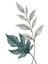 Matisse - Boho - Art Deco - Soyut - Doğa ( 3 Lü Çerçevesiz ) Poster - Afiş - Tablo KR2C00143/ 4