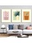 Matisse - Boho - Art Deco - Soyut - Doğa ( 3 Lü Çerçevesiz ) Poster - Afiş - Tablo KR2C00694/ 1