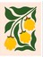 Matisse - Boho - Art Deco - Soyut - Doğa ( 3 Lü Çerçevesiz ) Poster - Afiş - Tablo KR2C00708/ 4