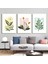 Matisse - Boho - Art Deco - Soyut - Doğa ( 3 Lü Çerçevesiz ) Poster - Afiş - Tablo KR2C00091/ 1