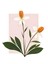 Matisse - Boho - Art Deco - Soyut - Doğa ( 3 Lü Çerçevesiz ) Poster - Afiş - Tablo KR2C00091/ 2