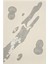 Matisse - Boho - Art Deco - Soyut - Doğa ( 3 Lü Çerçevesiz ) Poster - Afiş - Tablo KR2C00698/ 2