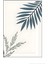 Matisse - Boho - Art Deco - Soyut - Doğa ( 3 Lü Çerçevesiz ) Poster - Afiş - Tablo KR2C00144/ 2