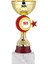 Kişiye Özel Futbol Kupası Ödül Kupası Tören Kupası 20 cm ECO-046 1