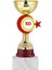 Kişiye Özel Futbol Kupası Ödül Kupası Tören Kupası 19 cm ECO-046 1