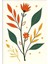 Matisse - Boho - Art Deco - Soyut - Doğa ( 3 Lü Çerçevesiz ) Poster - Afiş - Tablo KR2C00109/ 2