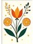 Matisse - Boho - Art Deco - Soyut - Doğa ( 3 Lü Çerçevesiz ) Poster - Afiş - Tablo KR2C00109/ 4