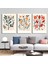 Matisse - Boho - Art Deco - Soyut - Doğa ( 3 Lü Çerçevesiz ) Poster - Afiş - Tablo KR2C00110/ 1