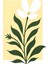 Matisse - Boho - Art Deco - Soyut - Doğa ( 3 Lü Çerçevesiz ) Poster - Afiş - Tablo KR2C00097/ 4