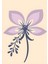 Matisse - Boho - Art Deco - Soyut - Doğa ( 3 Lü Çerçevesiz ) Poster - Afiş - Tablo KR2C00637/ 4