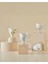 Valentina New Bone China Kupa 300 ml Pembe 4
