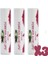 Aloe Lips Dudak Koruyucu 3 Adet 1
