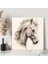 Beyaz At Kanvas Tablo 3