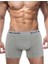 Gri Boxer 2