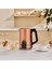 Series 2303 Inox Su Isıtıcı Bronze 1.7 Litre 1
