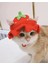 Kedi Şapkası Sevimli Hayvan Şapkası Evcil Hayvan Aksesuarı Kedi Kıyafeti 1
