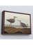 Çerçeveli John James Audubon'un 'birds Of America' TABLOSU-7011 1