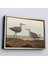 Çerçeveli John James Audubon'un 'birds Of America' TABLOSU-7011 2