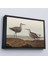 Çerçeveli John James Audubon'un 'birds Of America' TABLOSU-7011 3